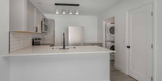 The Jackson Gallery 2