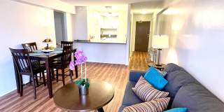 303 Liliouakalani St Unit 301Suite 714 Gallery 14