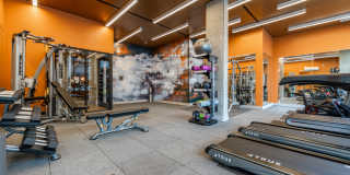 Center Steps Center Steps Gallery 5