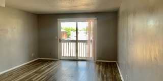 Pine Tree Flats Gallery 22