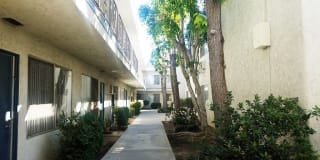 The Madrid Apartments Gallery 13