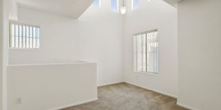 Venicia Gallery 80