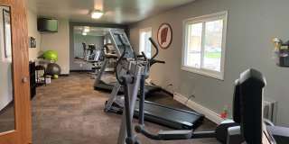 Springtree Gallery 22