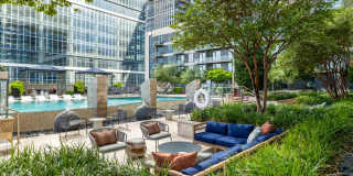 Northshore Gallery 15