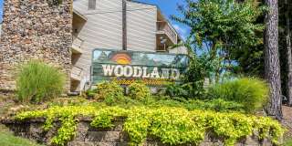 Woodland Terrace Gallery 56