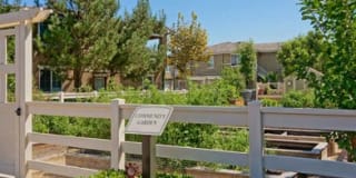 Homecoming At Terra Vista Gallery 18