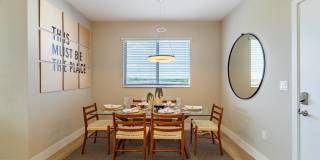 Icon One Daytona Gallery 7