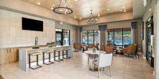 Canopy Park Gallery 4