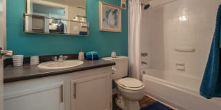 Retreat at Candelaria Gallery 15