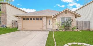 11244 Vollmer Ln Gallery 1
