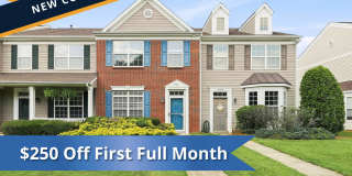 $250 OFF First Full Month!  2BR/2.5BA | Renovated Townhome | Private Parking | Pets Allowed! Gallery 1