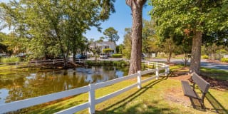 Birch Pond Gallery 21