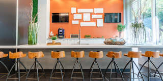 Vu New River Vu New River Gallery 8