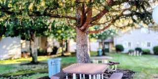 #330 AUTUMN CHASE Gallery 1