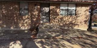 507 Streck - B Gallery 1