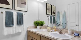 Terra Mar Gallery 11