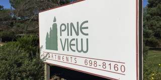 PINEVIEW Gallery 9