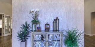 Paseos At Magnolia Luxury Apartment Homes Gallery 40