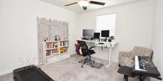 2767 Red Egret Dr. 2767 Red Egret Dr. Gallery 41
