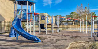 Carmel Spring Gallery 8