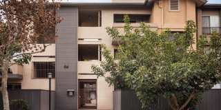 Elan View Pointe Gallery 10