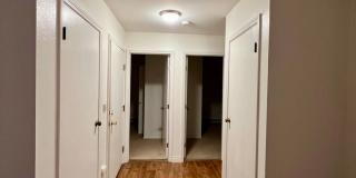 Carat Loop- Gallery 13