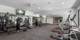 Gallery 3100 Gallery 8