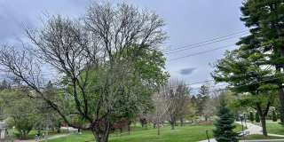 5 Spring Gallery 25