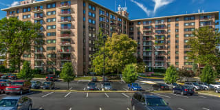 Cavalier Club Gallery 12