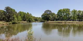 Mulberry Pond Gallery 28