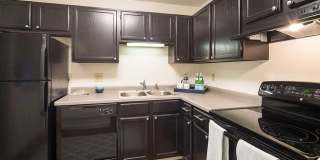 The Woods of Burnsville Gallery 28