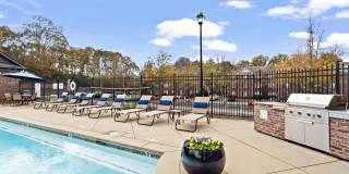 The Deryn Gallery 10