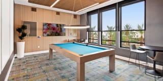 Homecoming at The Resort Apartments Gallery 59