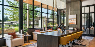 Bellevue10 Apartments Gallery 6