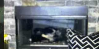 31 Wild Cat Ln Gallery 6