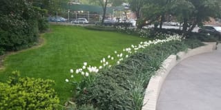 1680 York Avenue Gallery 1