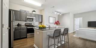 MetroPlace at Town Center Gallery 1