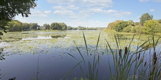 Beach South Gallery 42