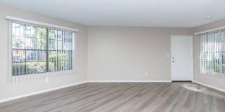 Oak Tree Court Gallery 37