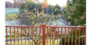 21505 TROWBRIDGE SQ Gallery 13