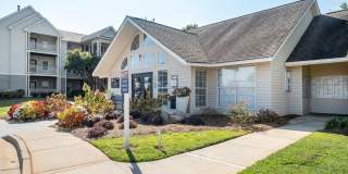 Galleria Park Gallery 8