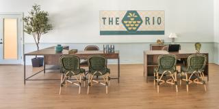 The Rio Gallery 4