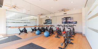 Domain at Kirby Gallery 53