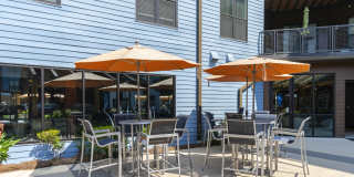 5 Points Northshore Gallery 37