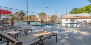 Citrus Grove Apartments Gallery 13