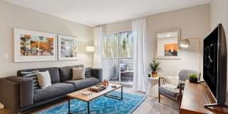 Sofi at Murrayhill Gallery 4