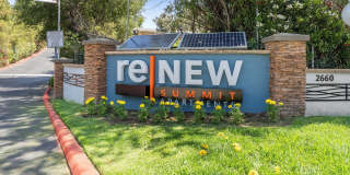 ReNew Summit Gallery 51