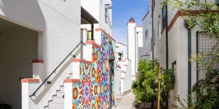 Culdesac Tempe Gallery 13