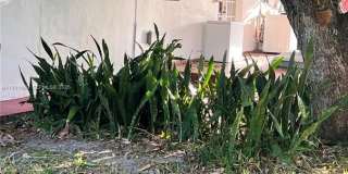 4443 NW 179th Ter Gallery 8