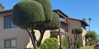 *2BR 2BA Furnished Condominium Riverfront with Dock, Private Beach Gallery 6